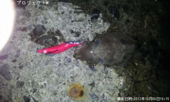 ���ߥ���