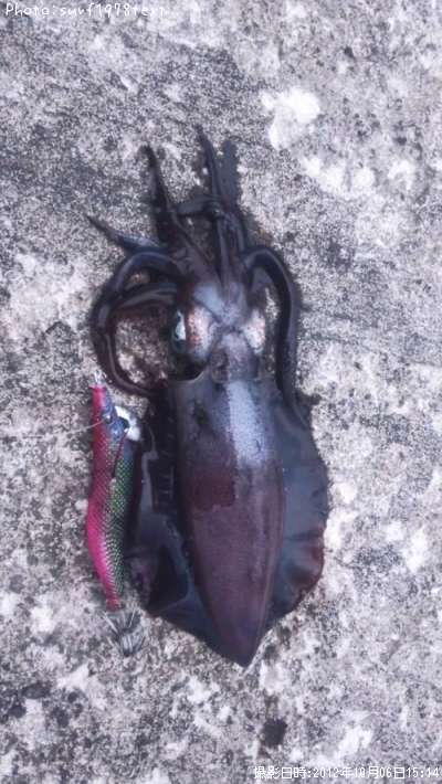 �����ꥤ��