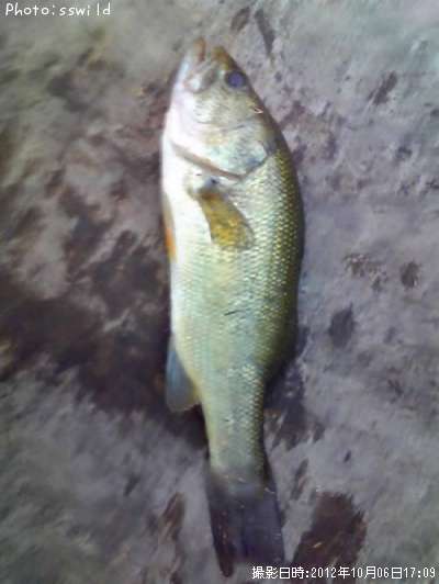 �֥�å��Х�