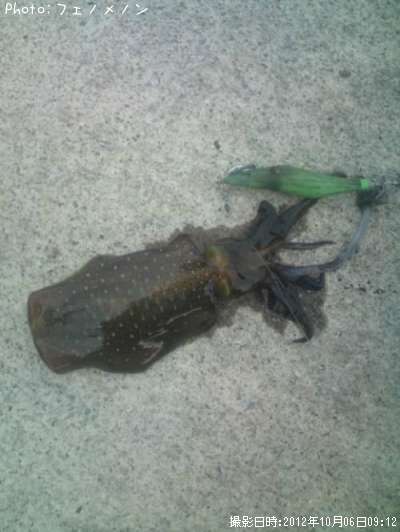 �����ꥤ��