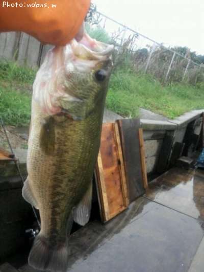 �֥�å��Х�