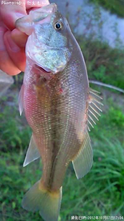 �顼���ޥ���