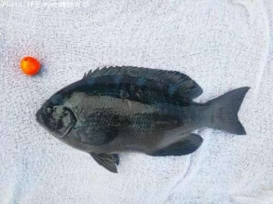 �����᥸��