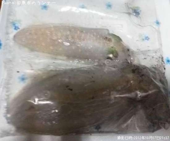 �����ꥤ��