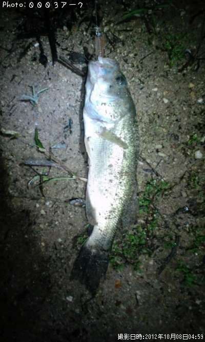 �֥�å��Х�