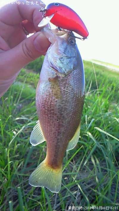 �顼���ޥ���