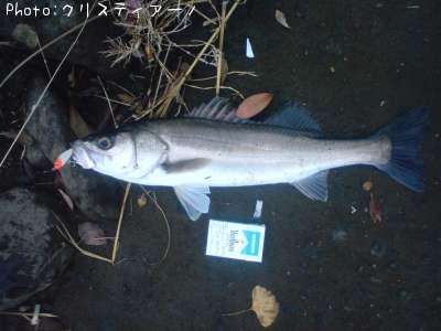 �����Х�