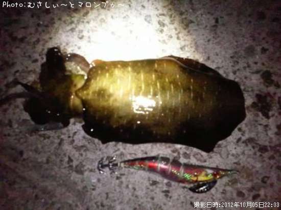 �����ꥤ��