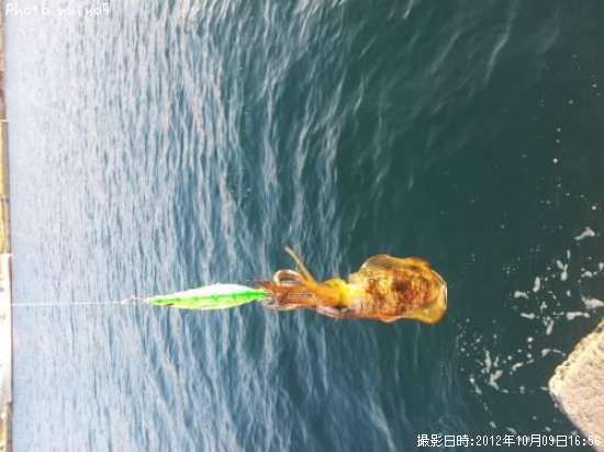 �����ꥤ��