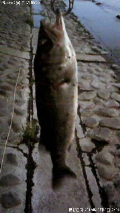 �����Х�