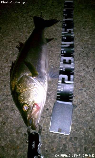 �����Х�