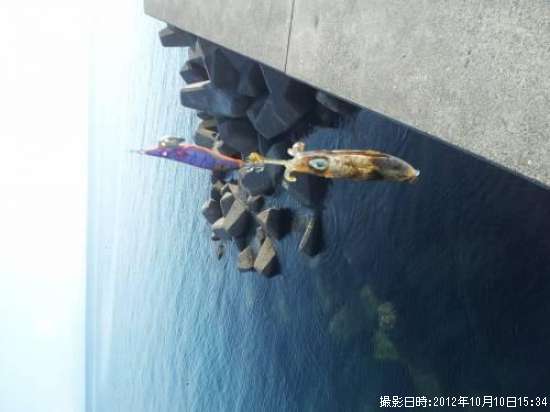 �����ꥤ��