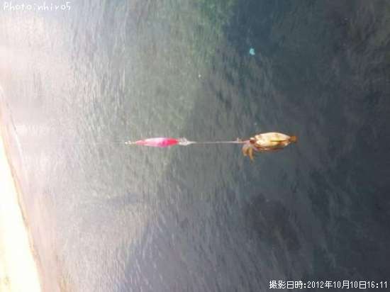 �����ꥤ��