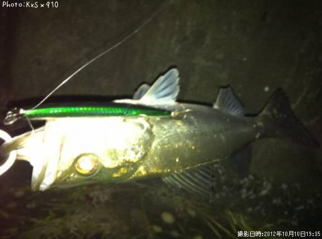 �����Х�