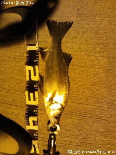 �����Х�