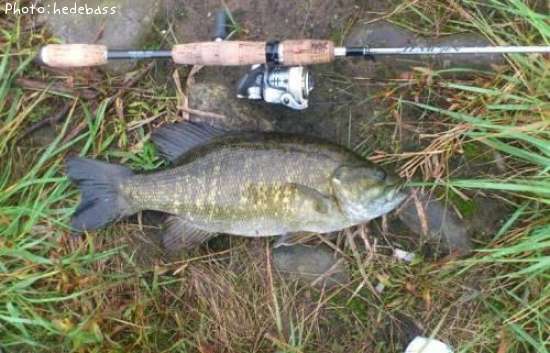 ���⡼��ޥ����Х�