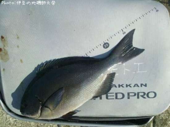 ��Ĺ�᥸��