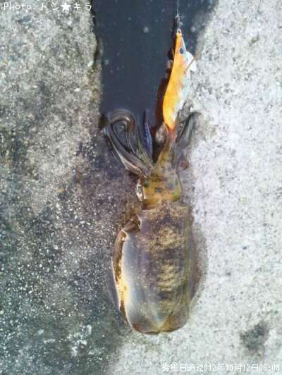 �����ꥤ��