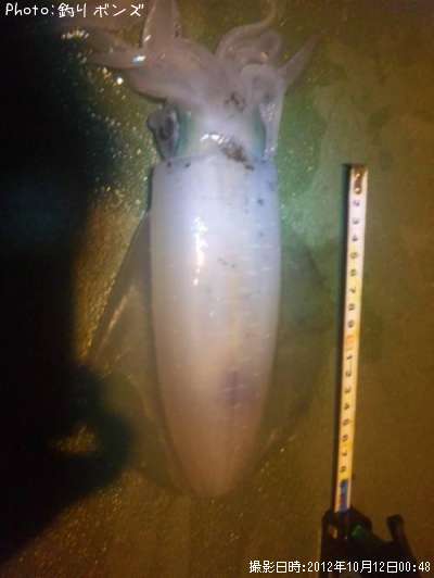 �����ꥤ��