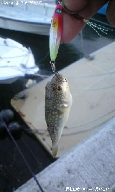 �����ե�