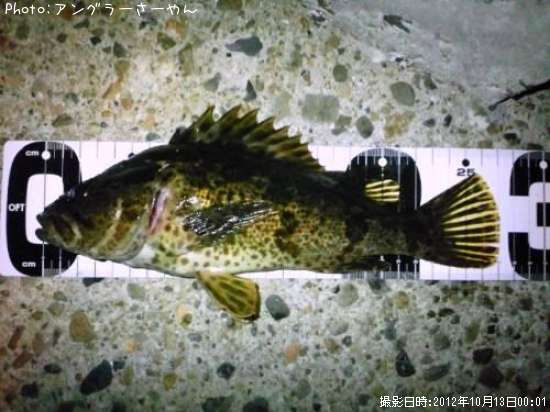 �����Υ���Х�