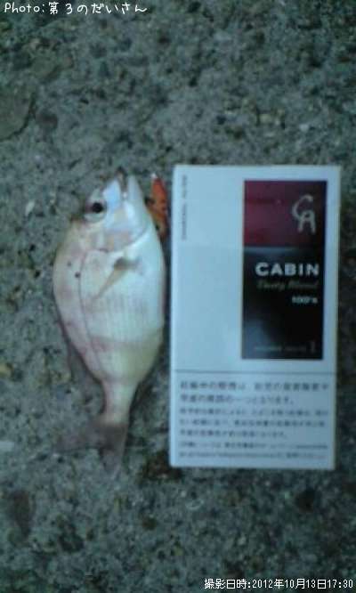 �ޥ���