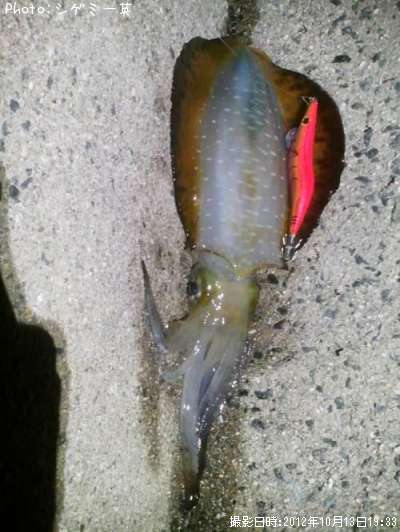 �����ꥤ��