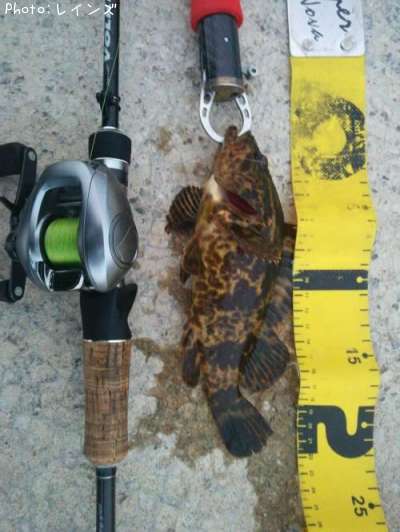 �����Υ���Х�