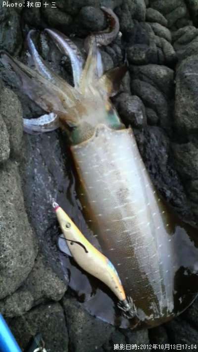 �����ꥤ��