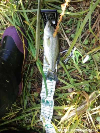 �֥�å��Х�