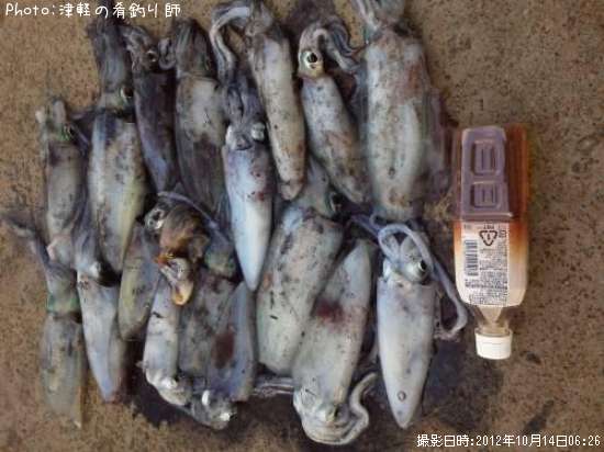 �����ꥤ��