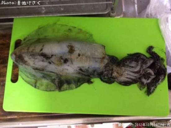 �����ꥤ��