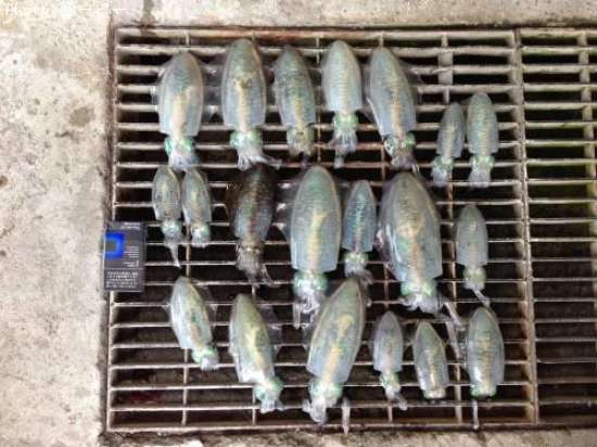 �����ꥤ��