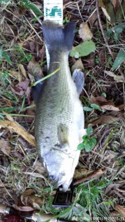 �֥�å��Х�