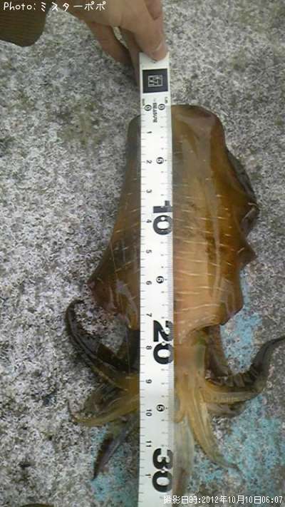 �����ꥤ��