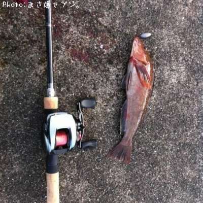 �����ʥ�