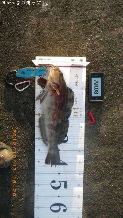 �����ʥ�