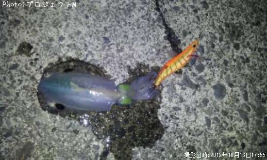 �����ꥤ��