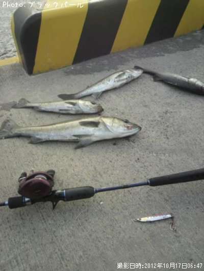 �����Х�