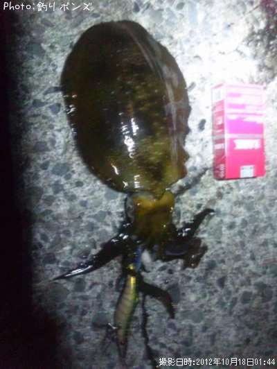 �����ꥤ��