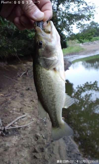 �֥�å��Х�