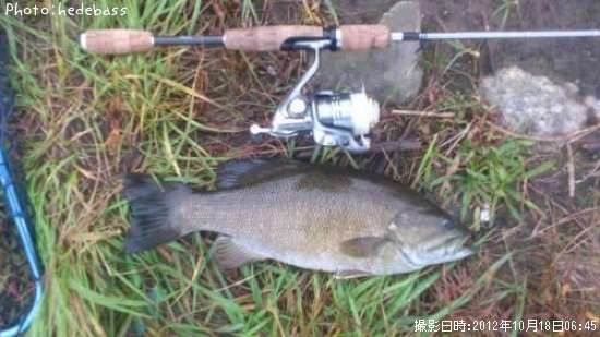 ���⡼��ޥ����Х�