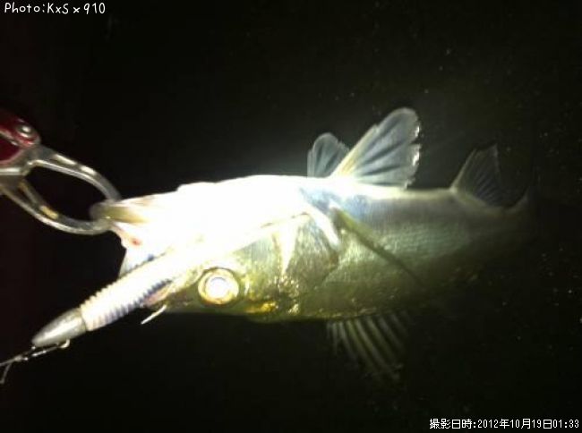 �����Х�