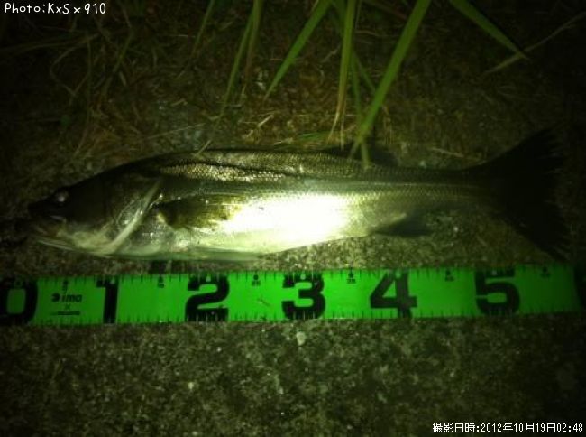 �����Х�