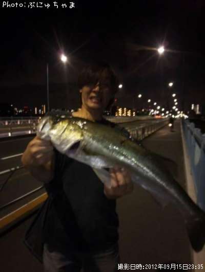 �����Х�