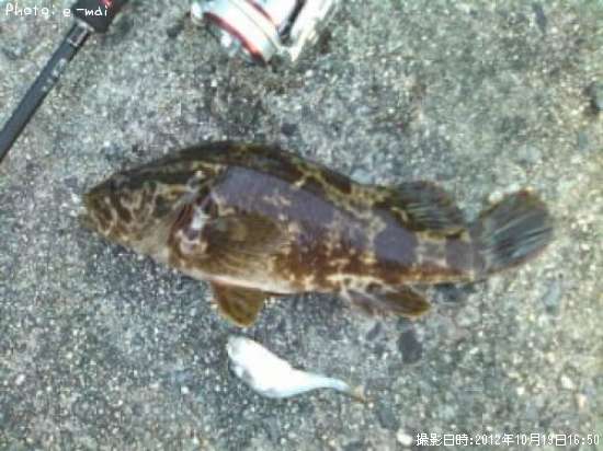 �����Υ���Х�