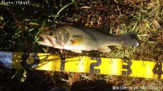 �֥�å��Х�