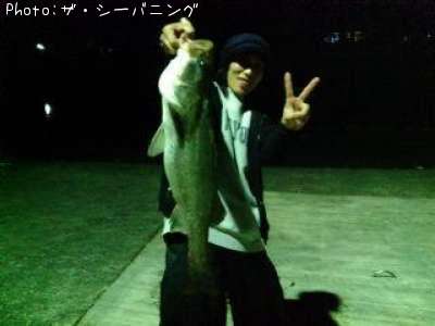 �����Х�