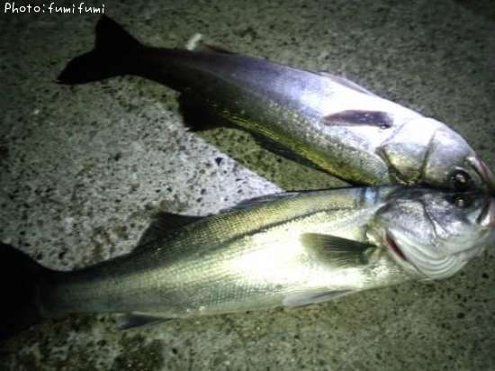 �����Х���