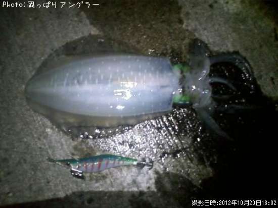 �����ꥤ��